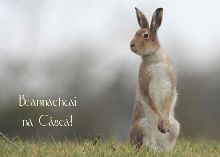 CA03 Easter card Giorra Hare